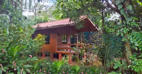 Studio Cabina Aracari (newly renovated)