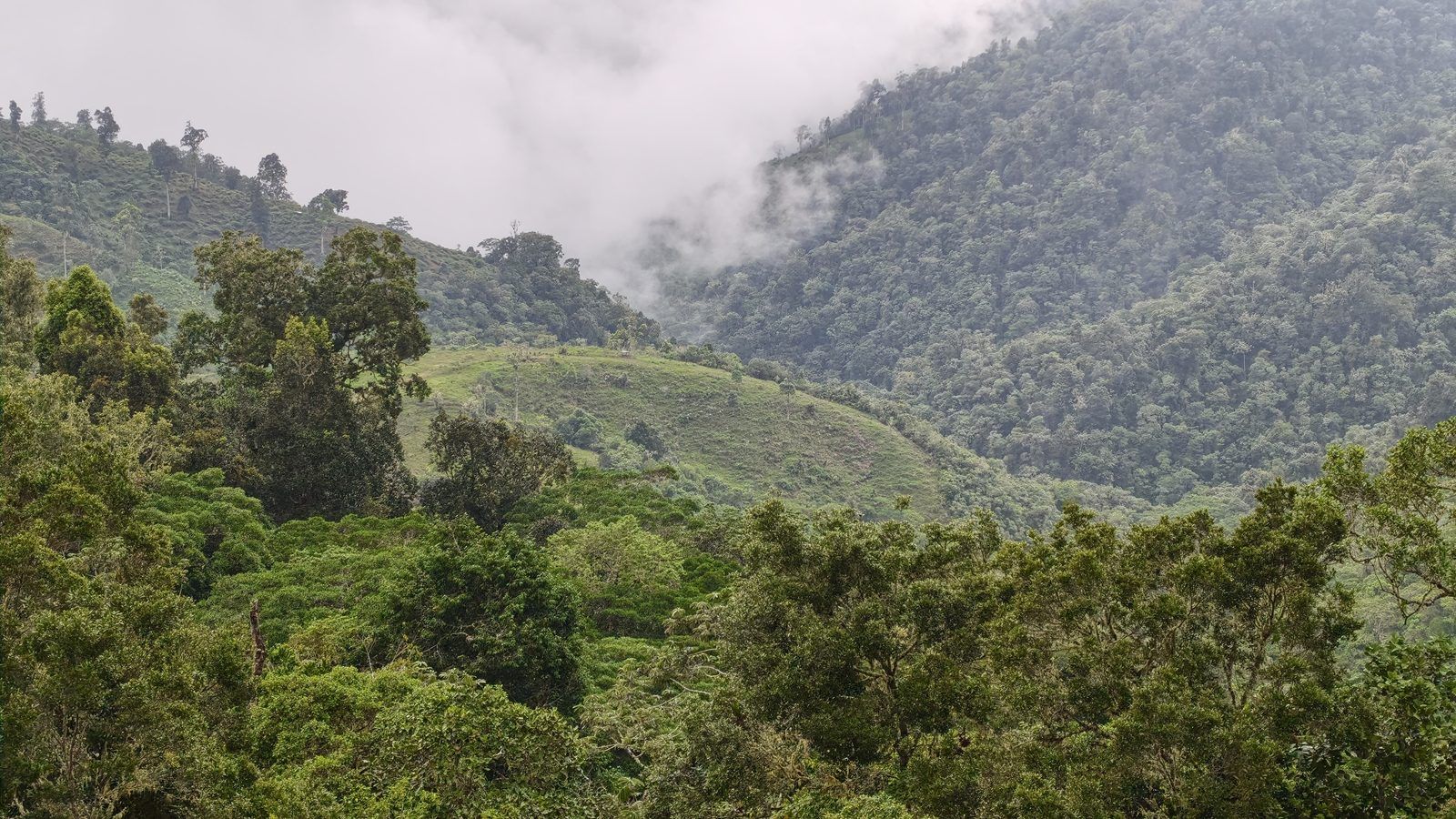 48.49-Acre Property with River & Mountain Views