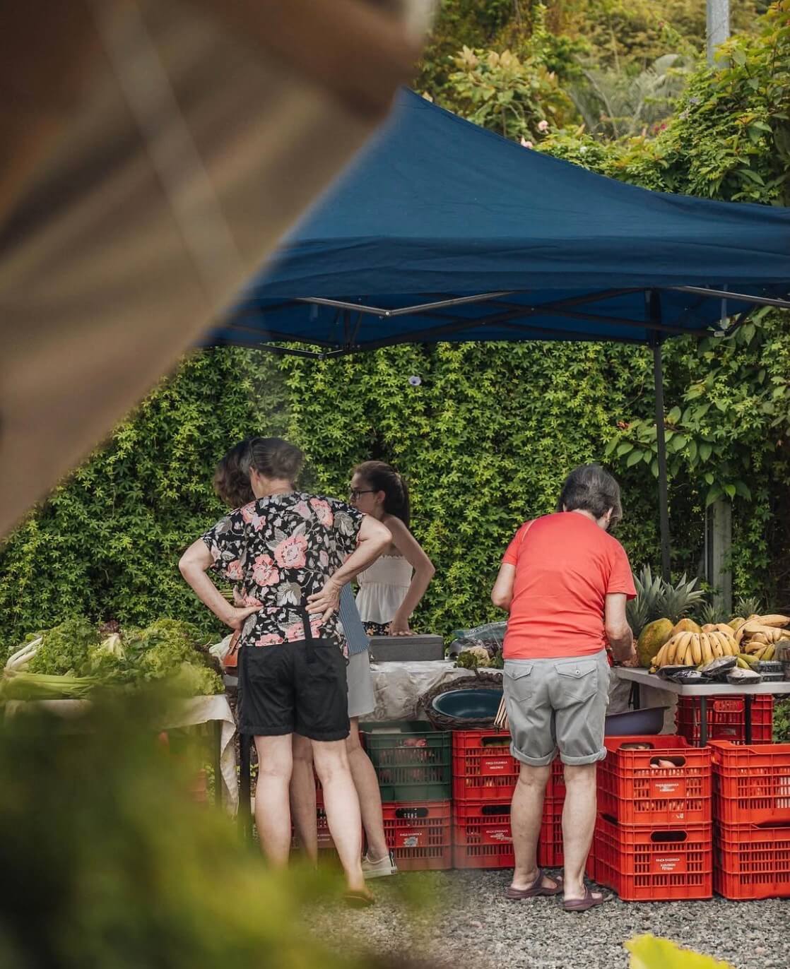 Ojochal Community Market