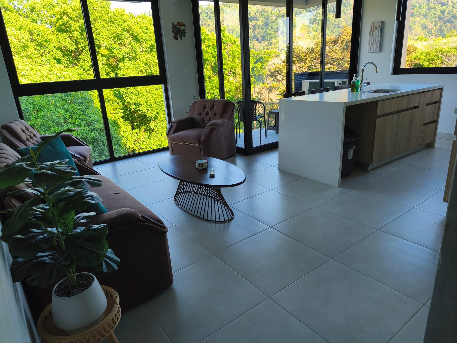 Seventh Heaven: Jungle & Sea