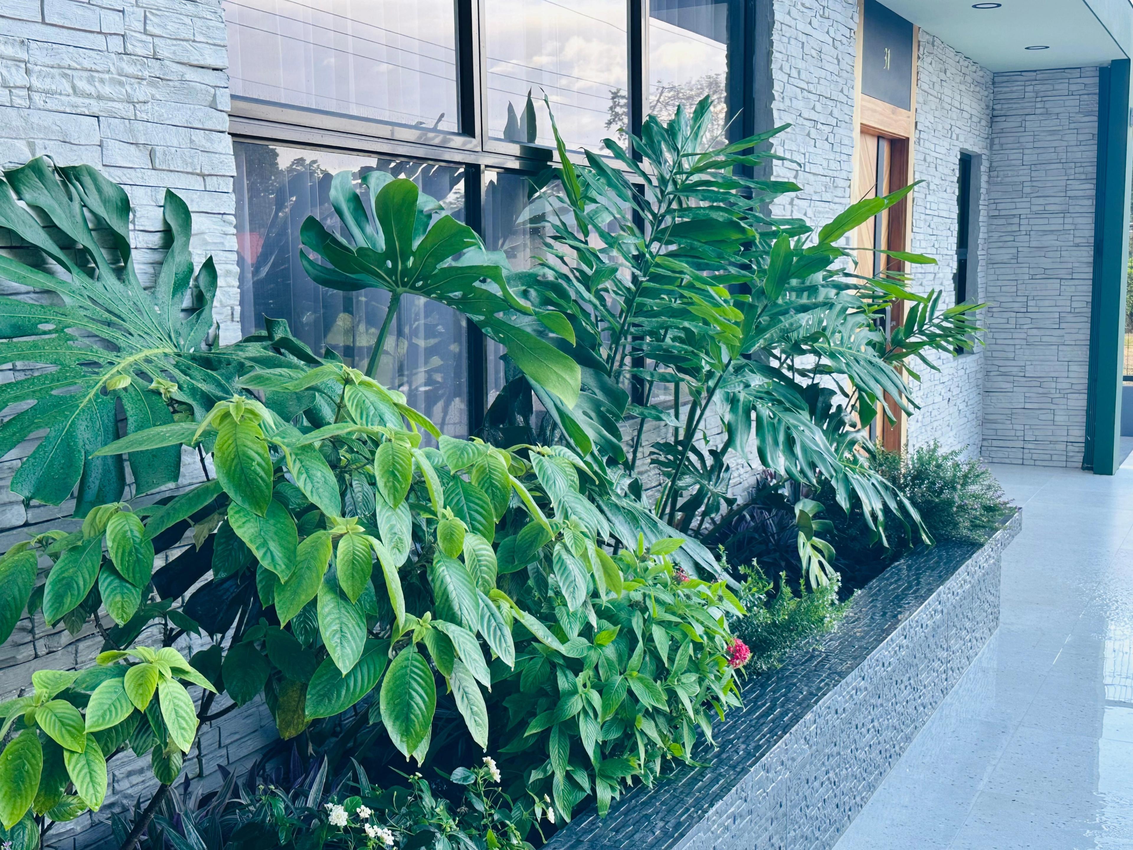 Fortuna Home 