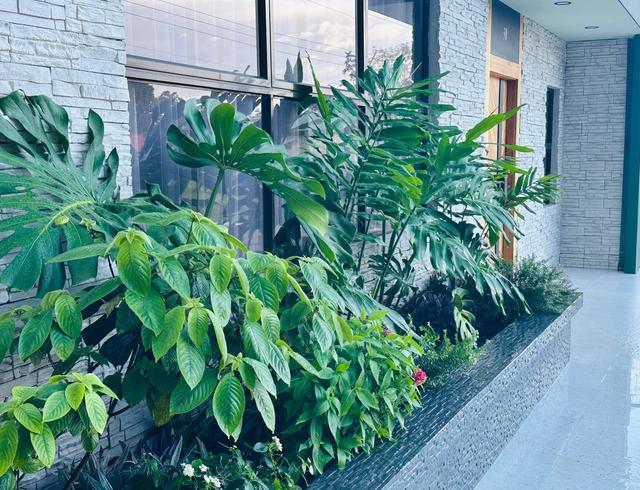 Fortuna Home