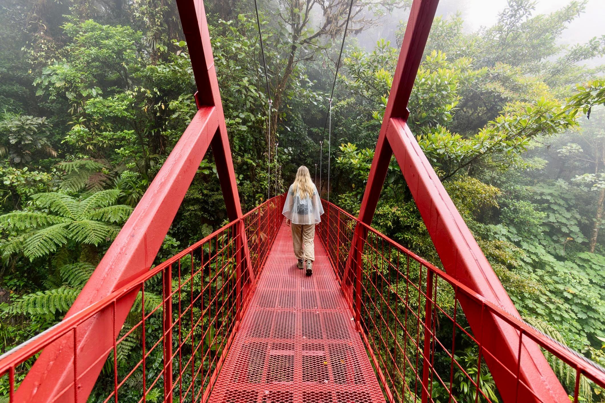 Suspension bridge in Monteverde, Costa Rica