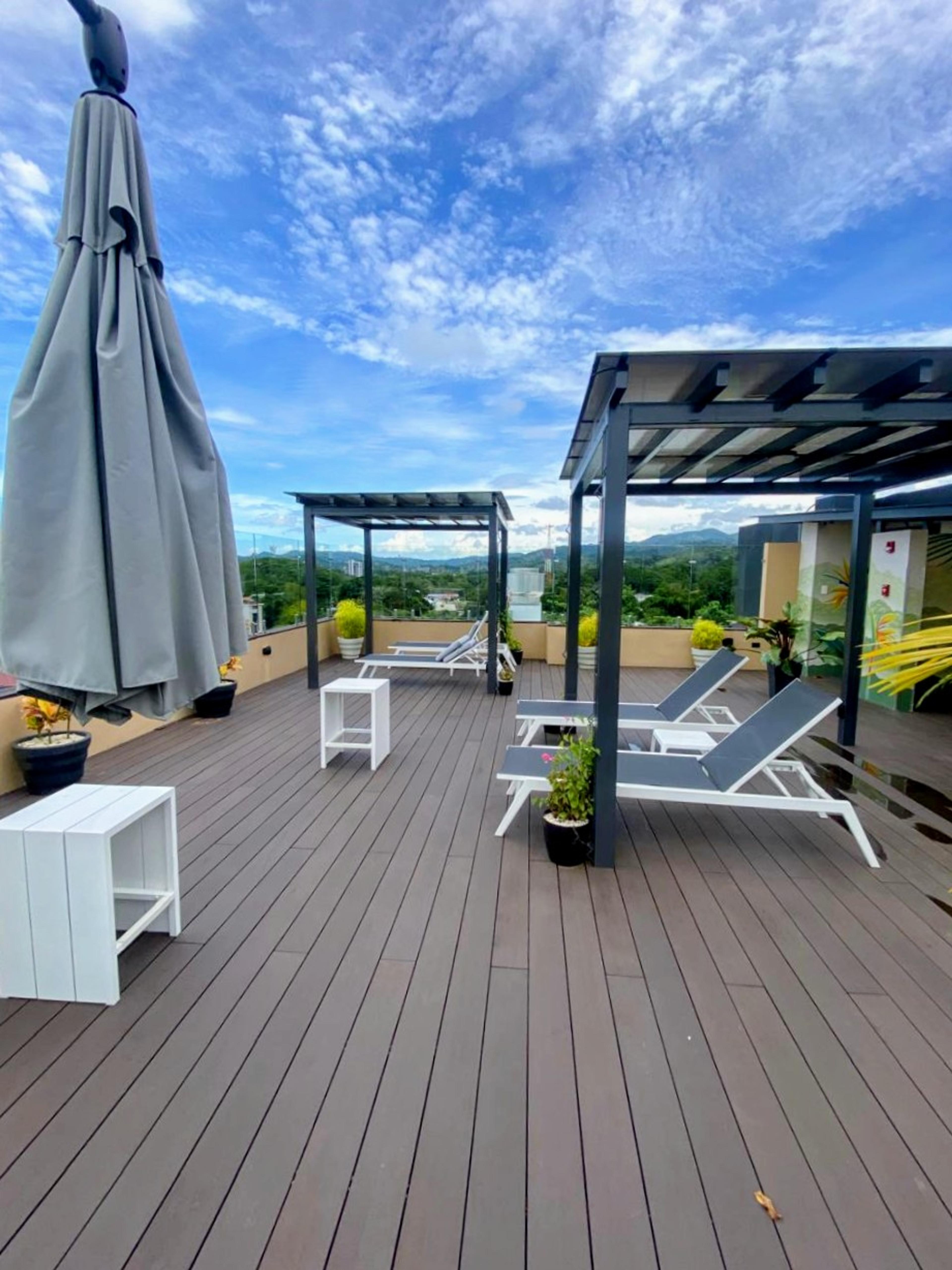 Seventh Heaven: Jungle & Sea