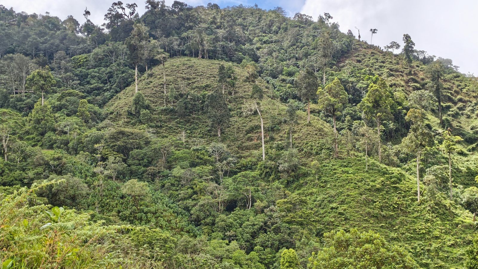 48.49-Acre Property with River & Mountain Views