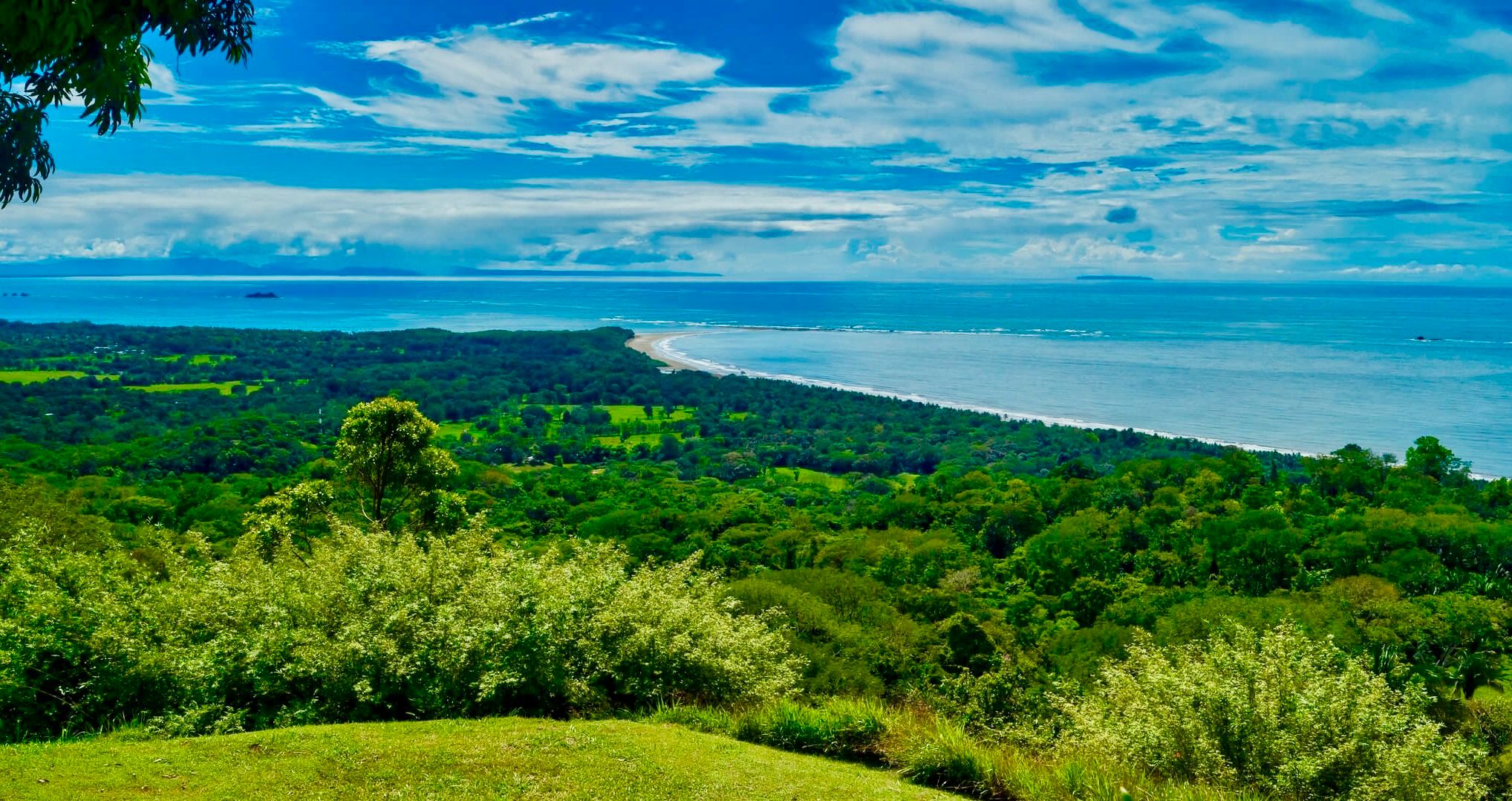 whales tail uvita costa rica