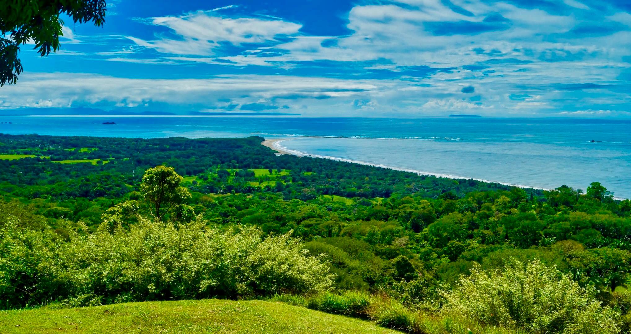 whales tail uvita costa rica
