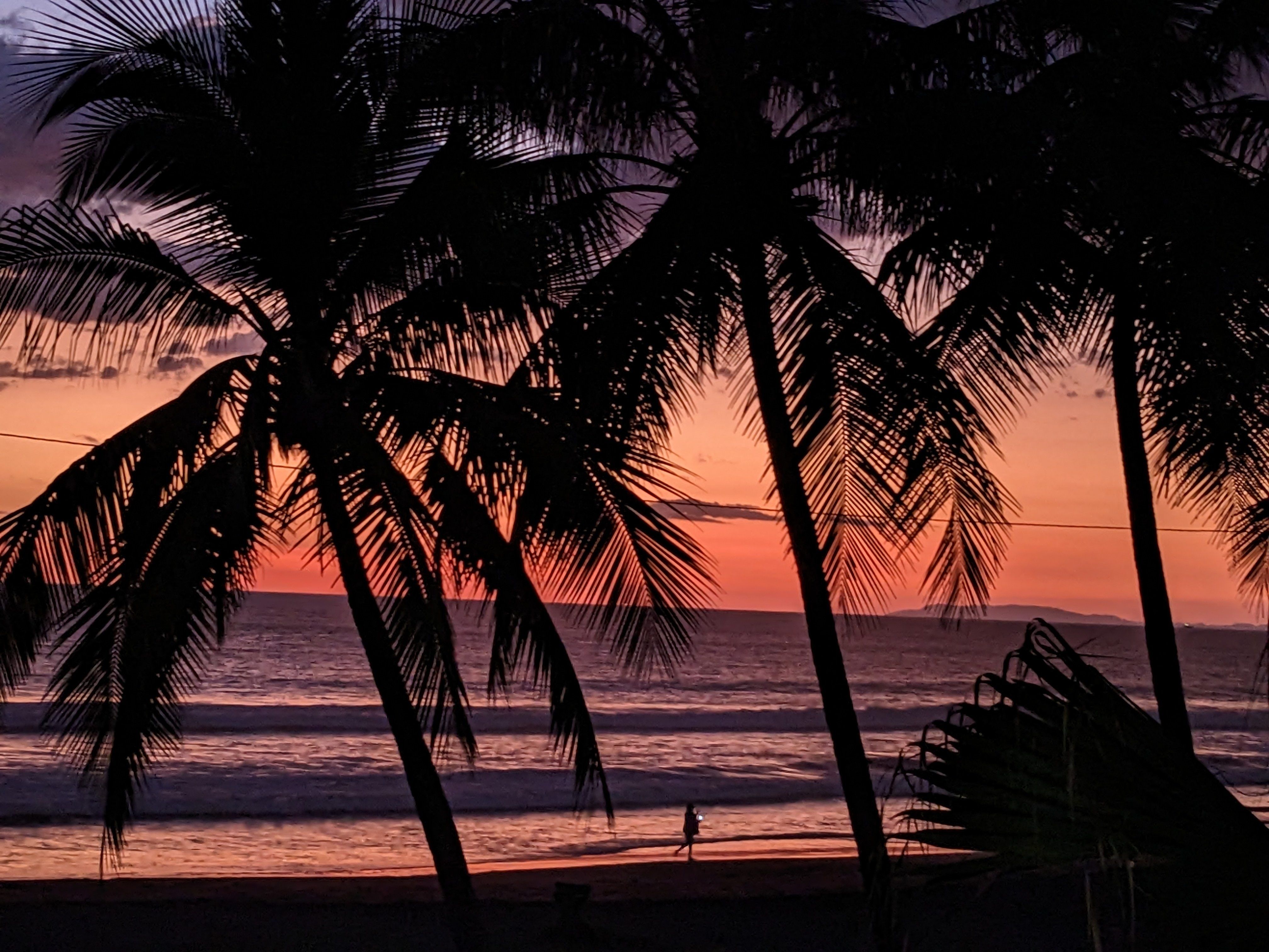 Seventh Heaven: Jungle & Sea