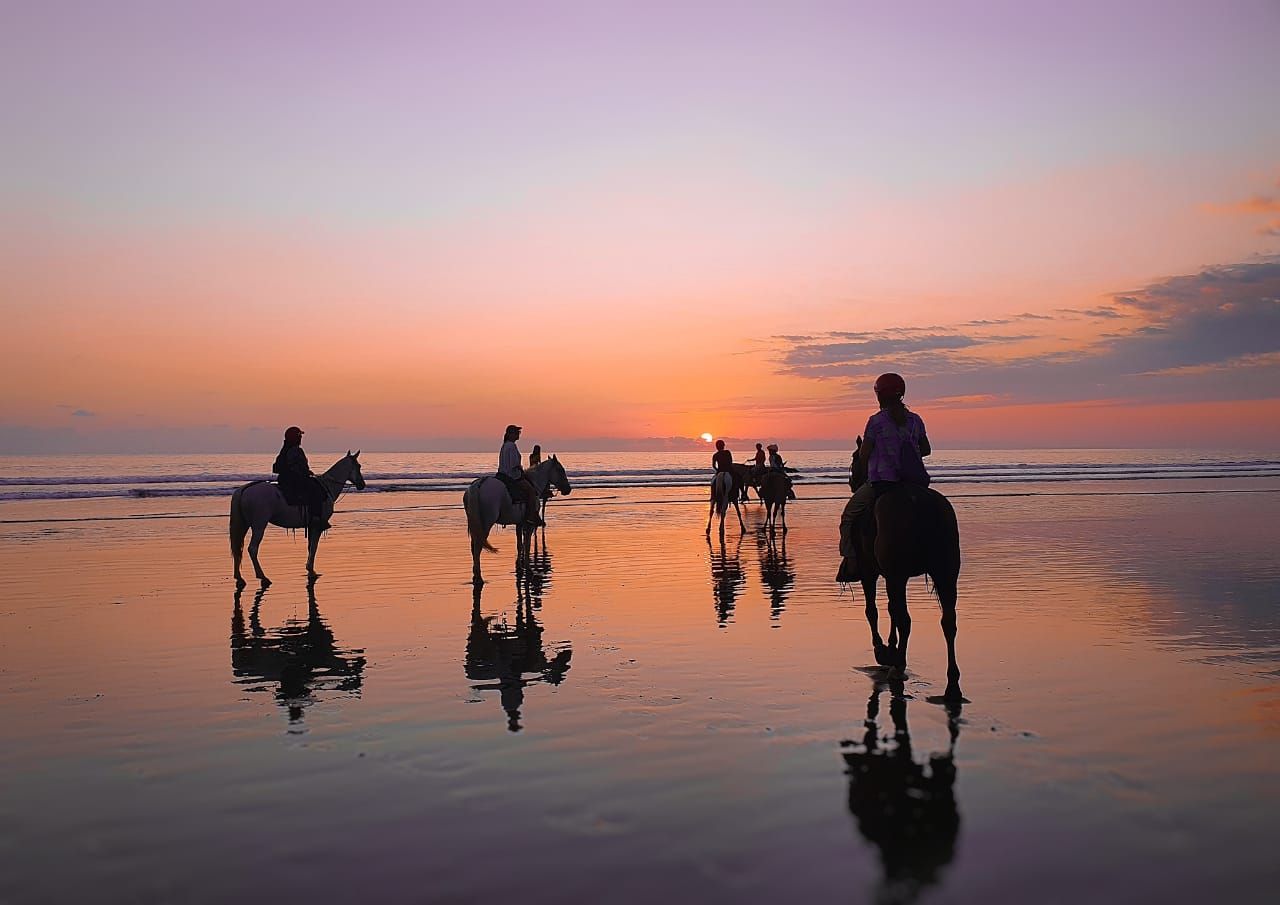 horseback riding uvita 