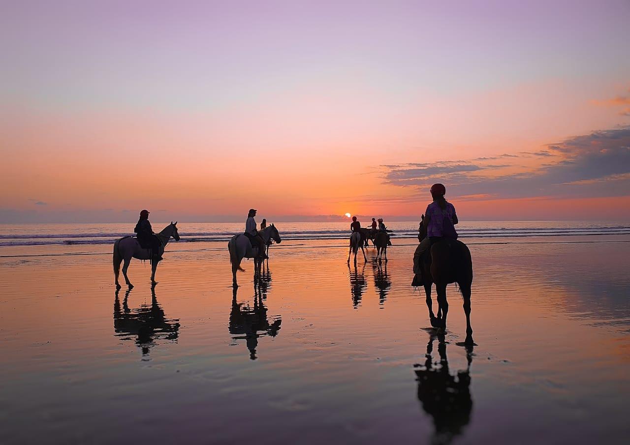 horseback riding uvita