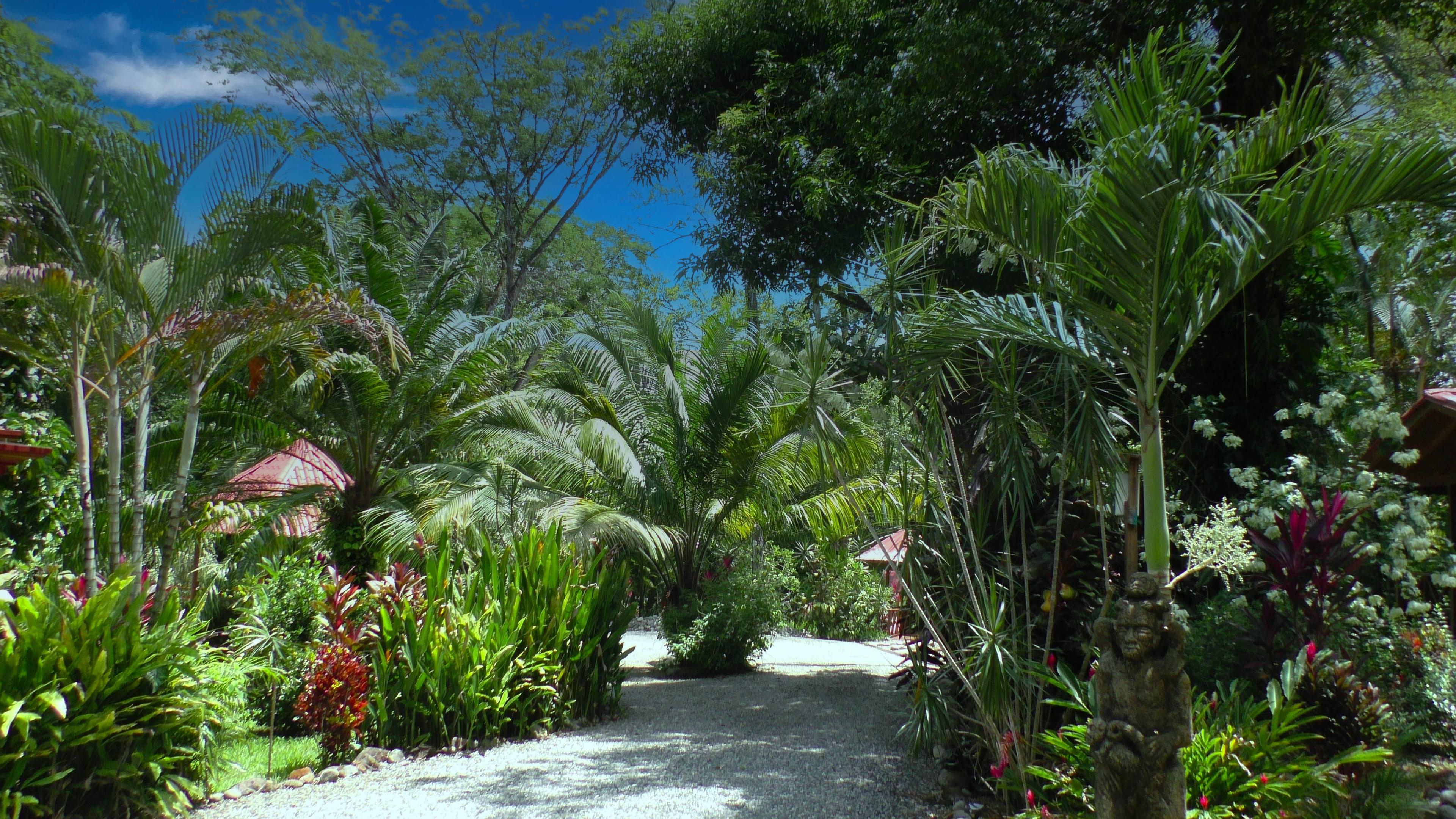 Cabina Mariposa