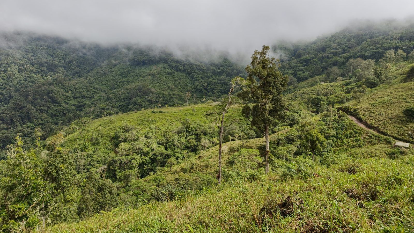 48.49-Acre Property with River & Mountain Views