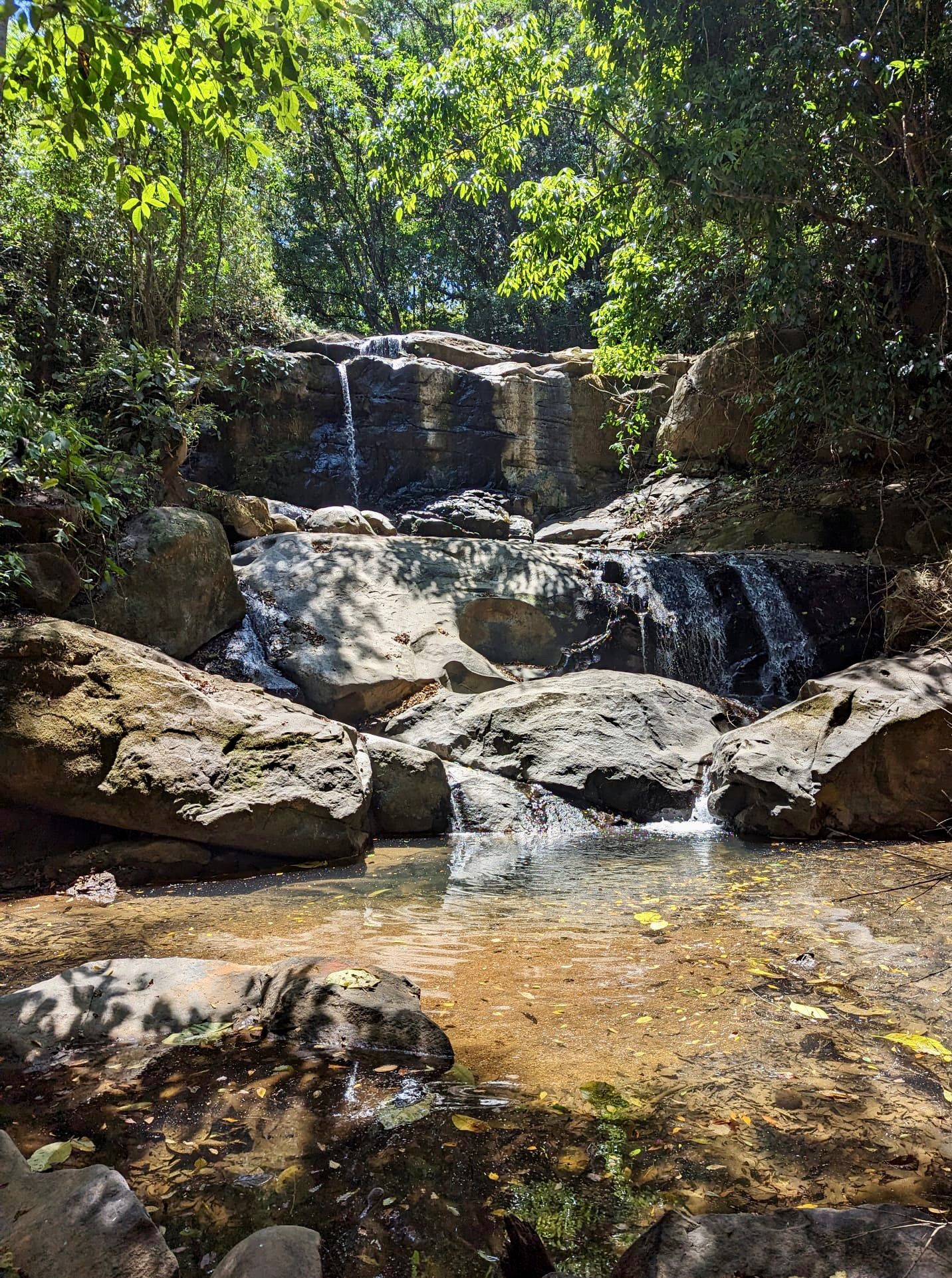 Turnkey Jungle Retreat Center with Private House