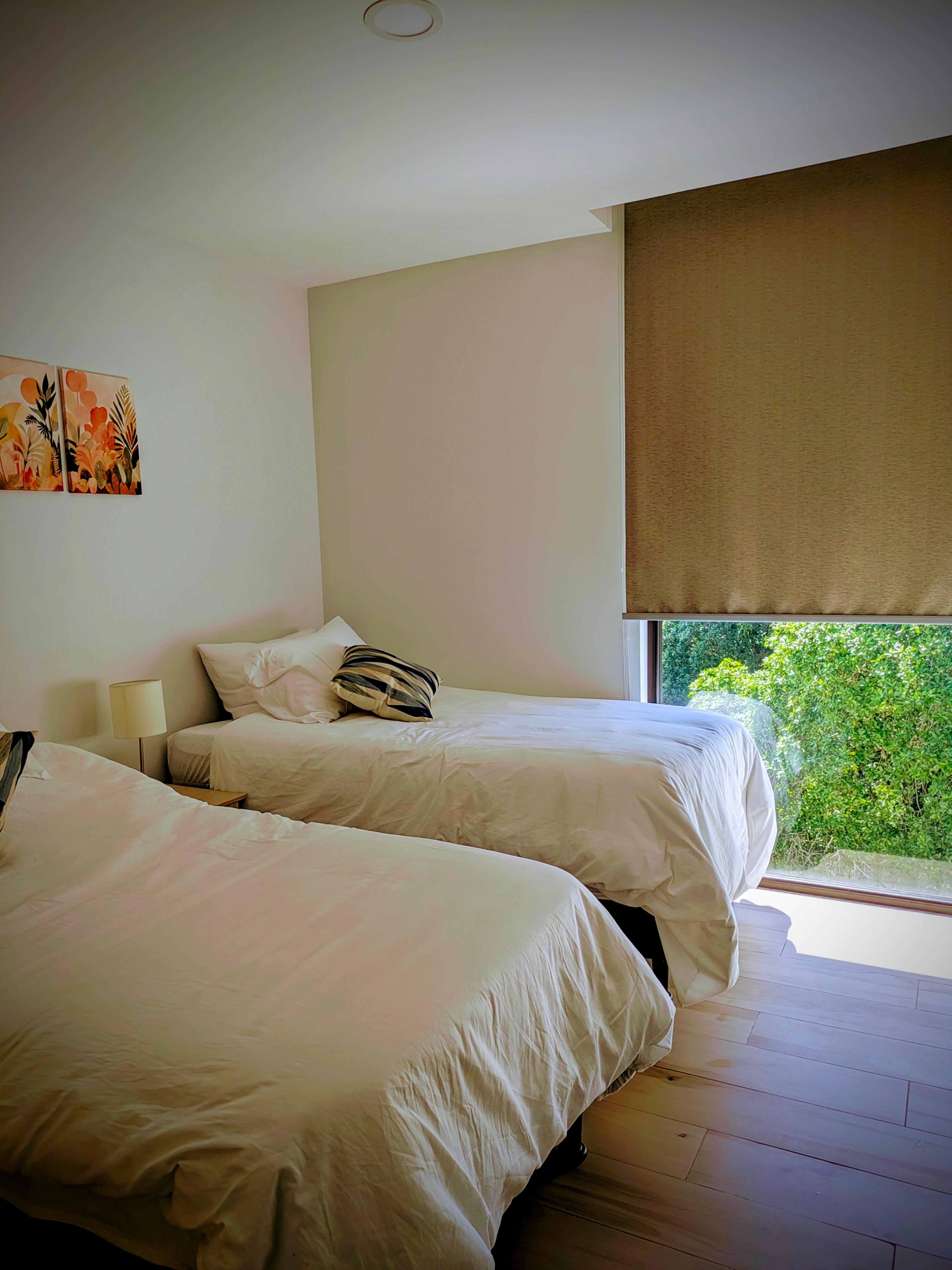 Seventh Heaven: Jungle & Sea