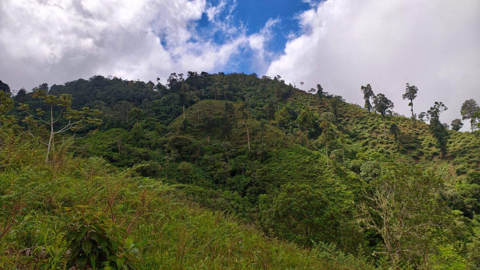 48.49-Acre Property with River & Mountain Views