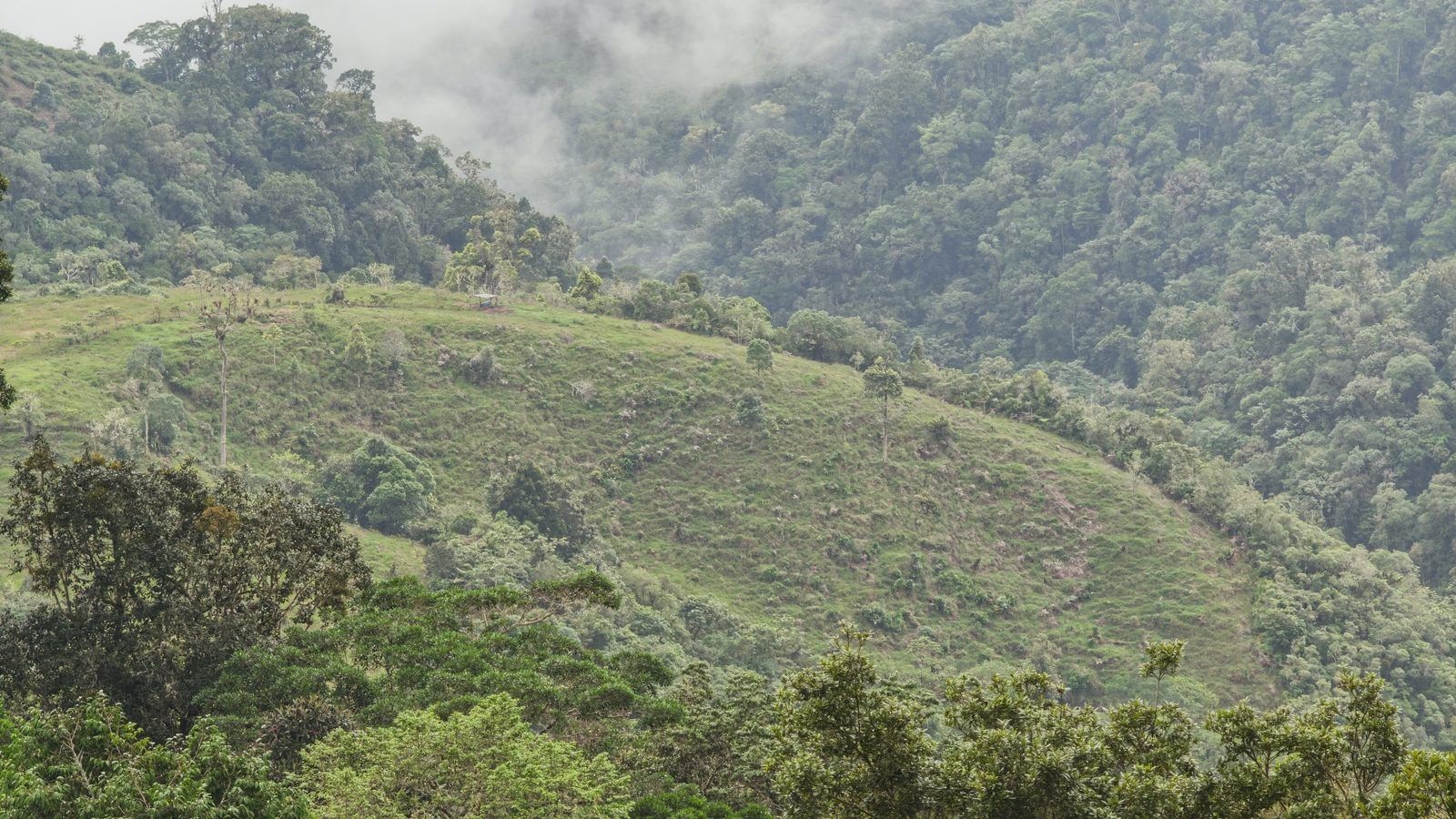 48.49-Acre Property with River & Mountain Views