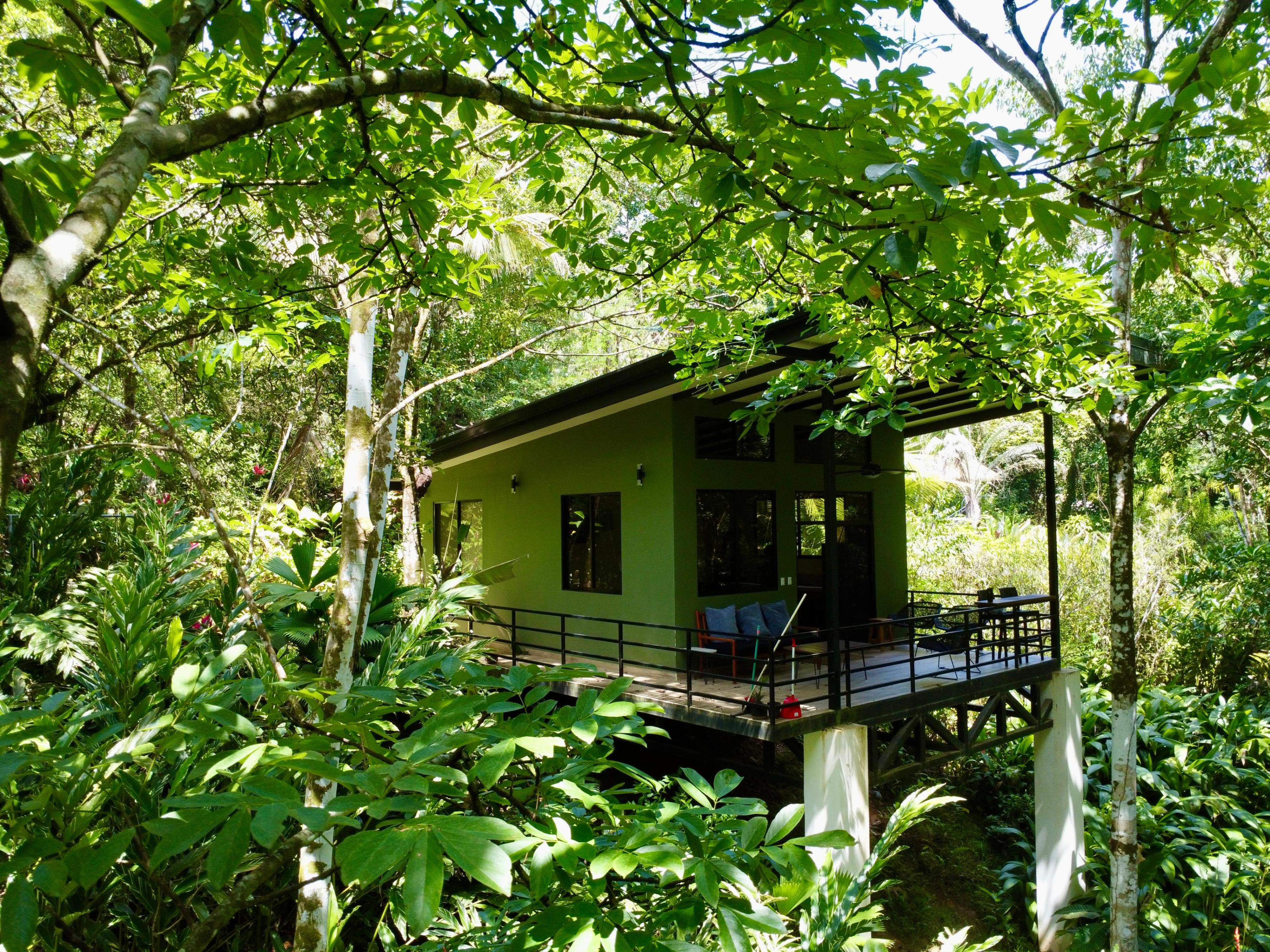 Bungalow Jungle Papagayo 
