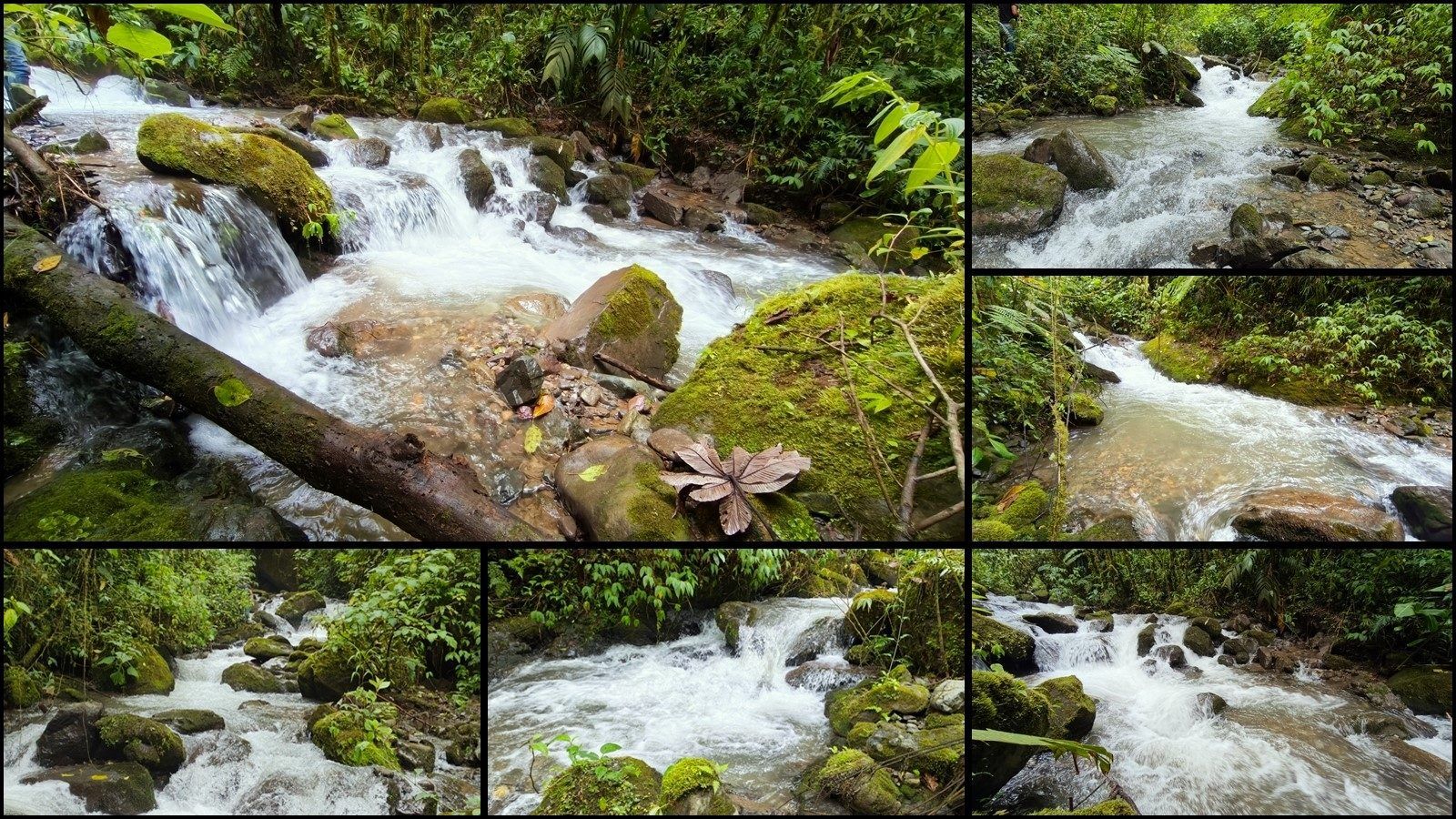 48.49-Acre Property with River & Mountain Views