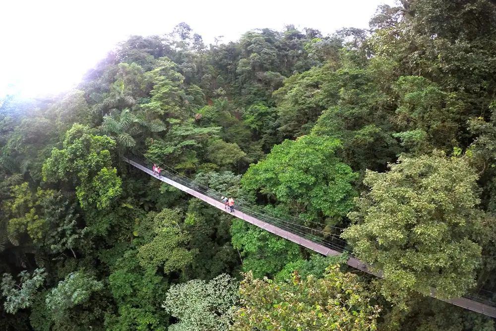Mistico Hanging Bridges