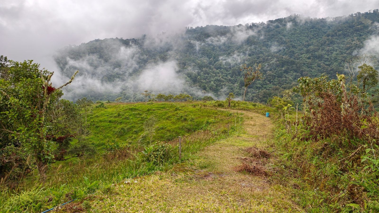 48.49-Acre Property with River & Mountain Views