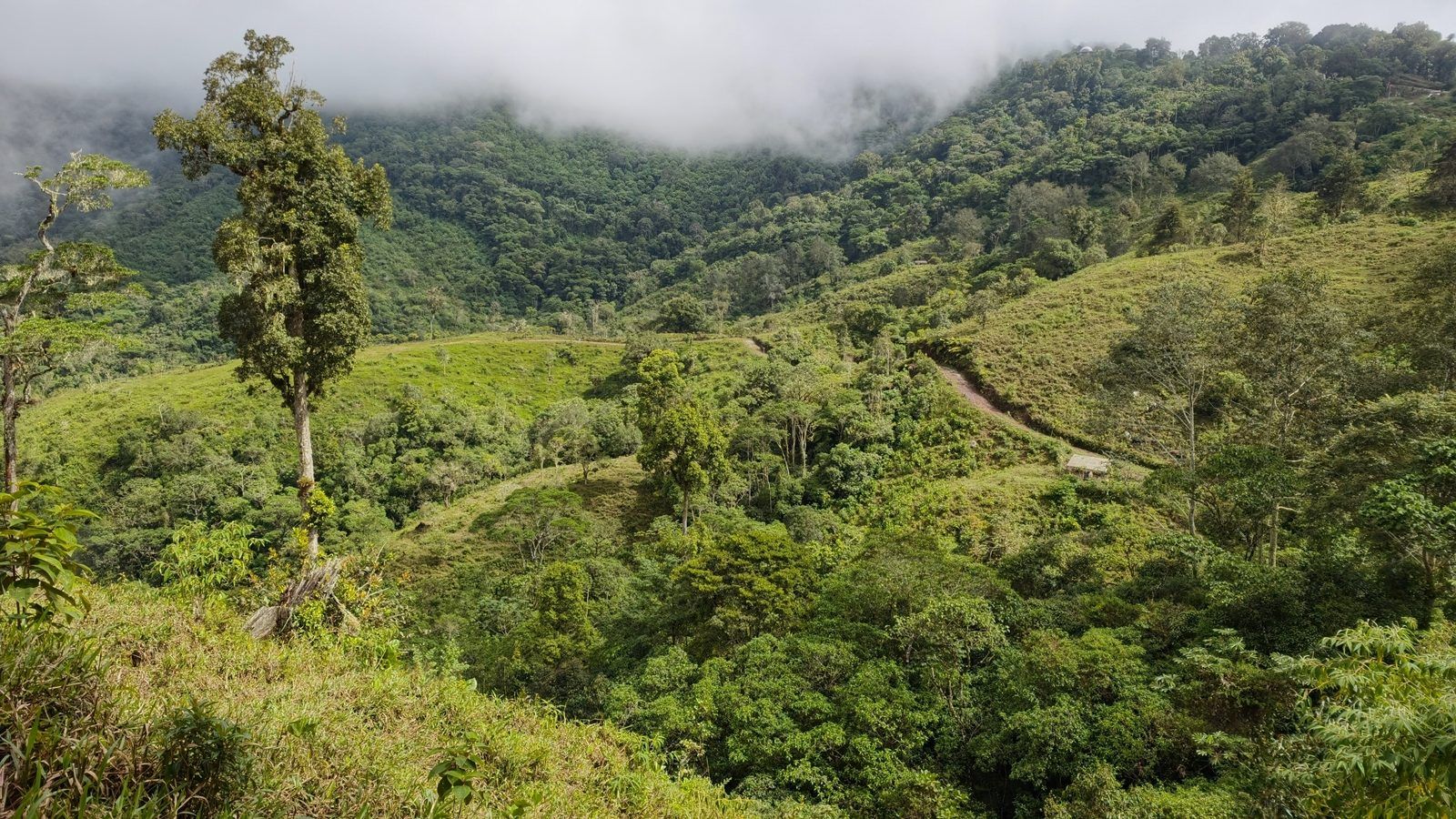 48.49-Acre Property with River & Mountain Views
