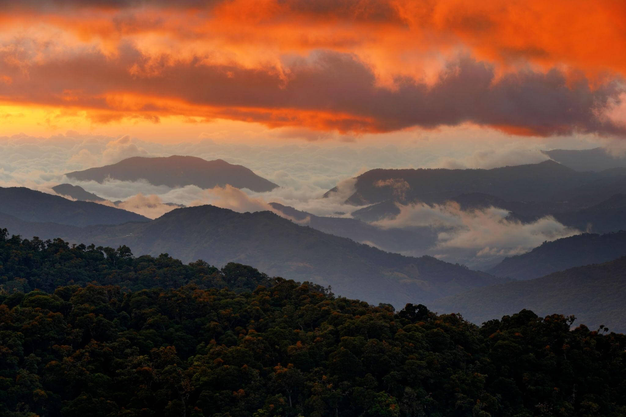 The Art of Slowing Down: How Costa Rica Teaches You Balance