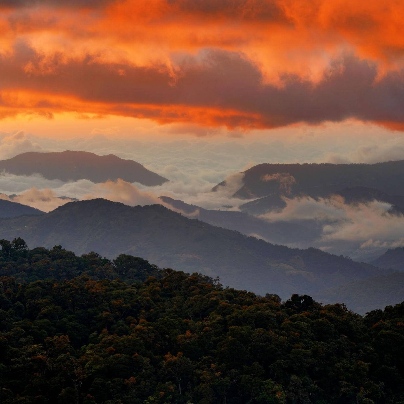 The Art of Slowing Down: How Costa Rica Teaches You Balance