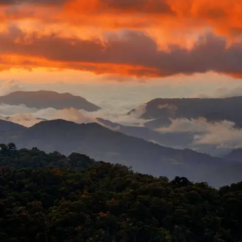 The Art of Slowing Down: How Costa Rica Teaches You Balance