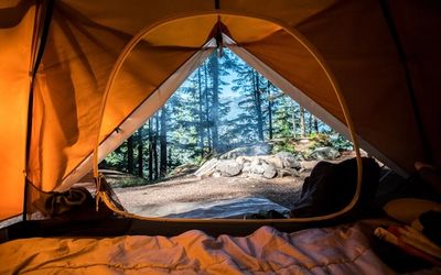 Camping dog-friendly en France : le guide complet 2026
