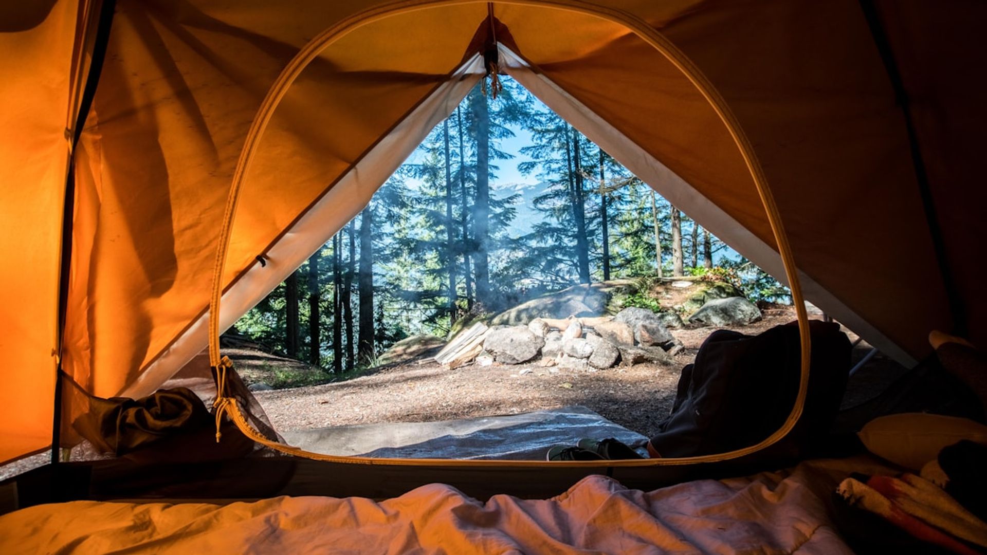 Camping dog-friendly en France : le guide complet 2026