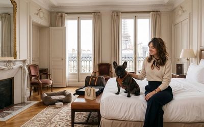 Chien dans un hôtel à Paris