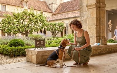 Chien dans un monument historique en France