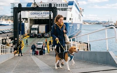 Chien au départ d'un Ferry