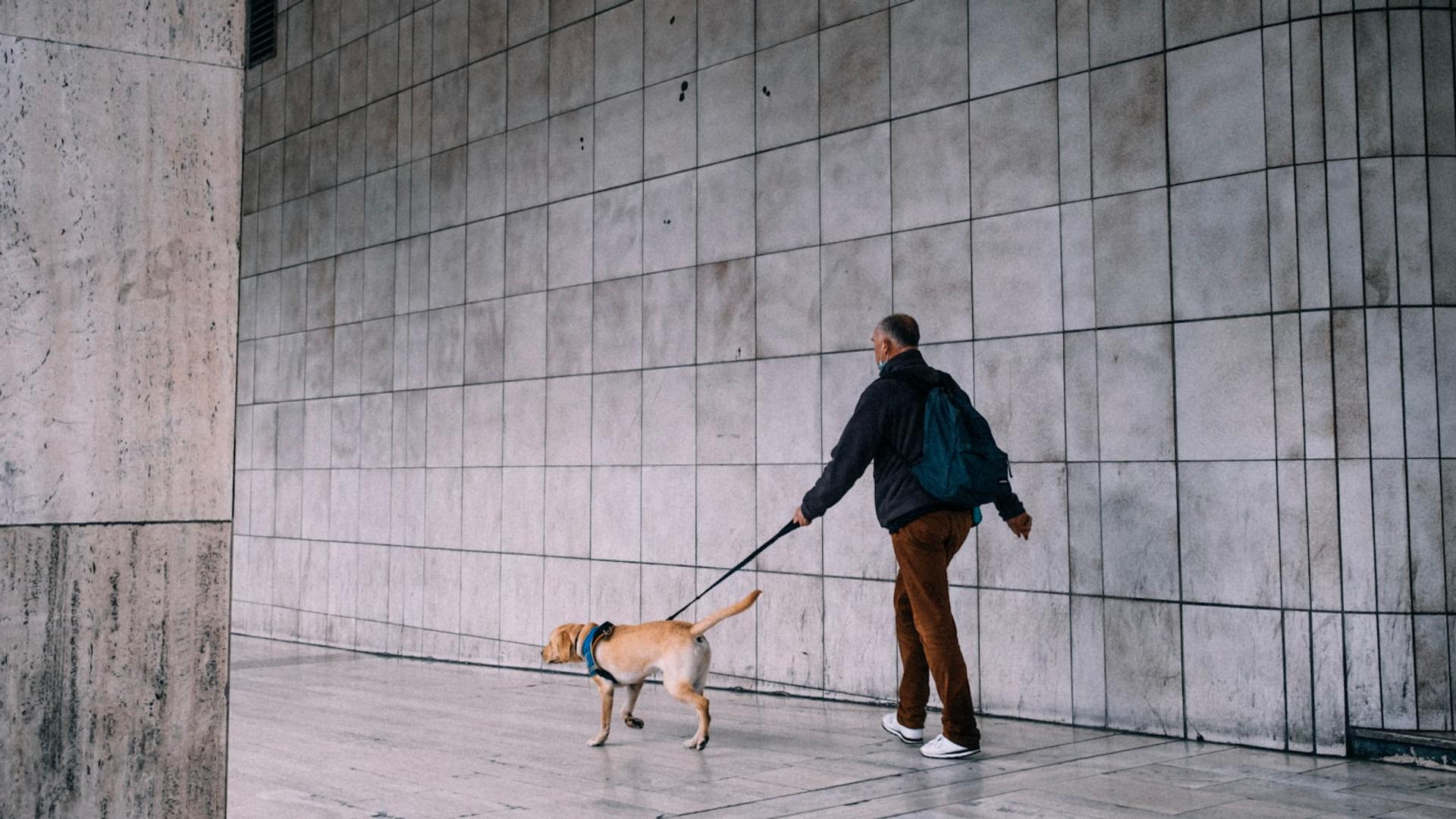 Personne qui promène son chien en laisse dans une rue française
