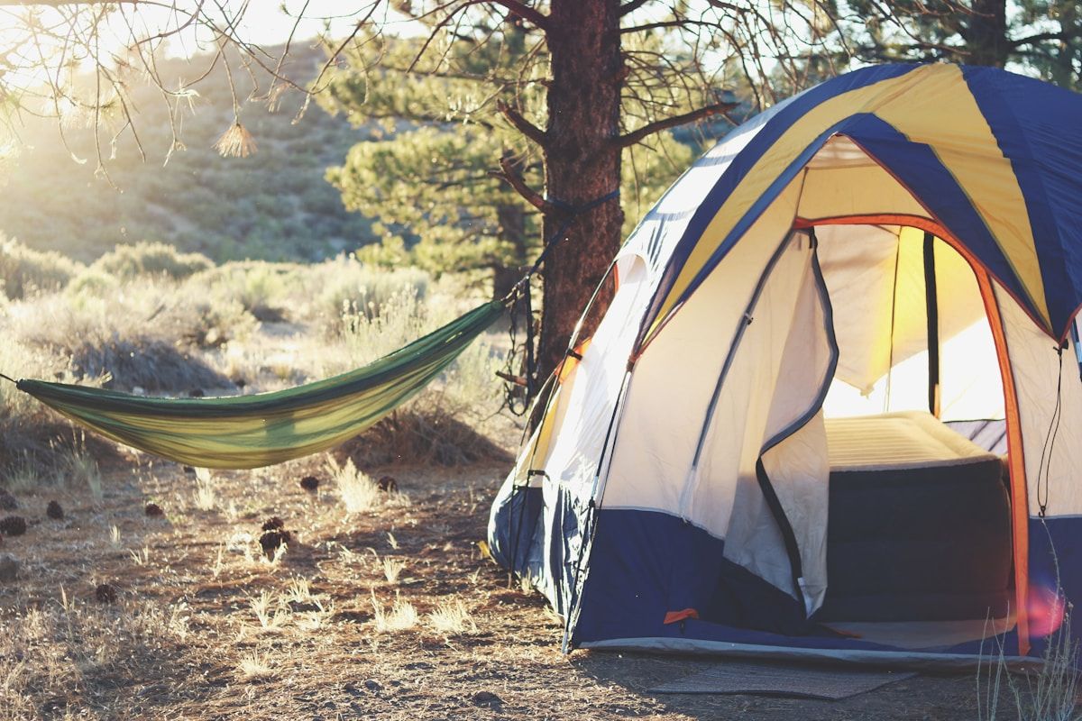 Couple avec leur chien autour d'une tente en camping dans la nature