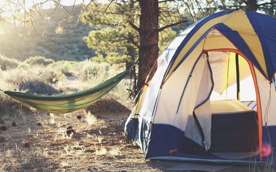Couple avec leur chien autour d'une tente en camping dans la nature