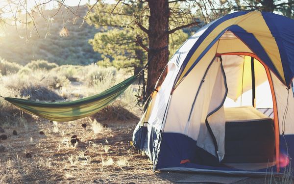 Couple avec leur chien autour d'une tente en camping dans la nature