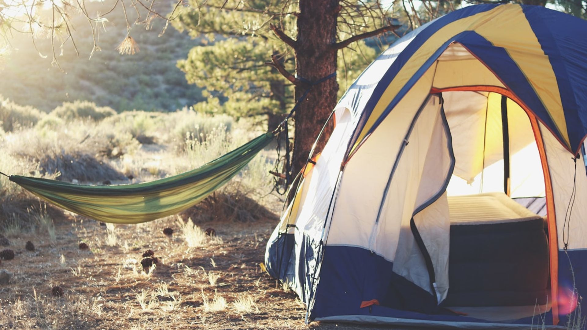 Couple avec leur chien autour d'une tente en camping dans la nature
