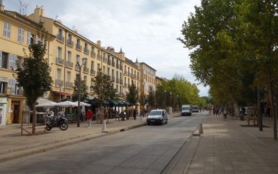 Le Cours Mirabeau bordé de platanes et de terrasses au cœur d'Aix-en-Provence, où les chiens sont admis en laisse