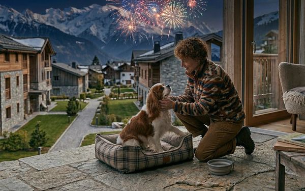 Chien et bruits forts en vacances : orages, feux d'artifice et pétards
