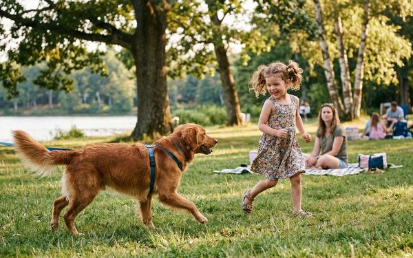 Chien jouant avec des enfants