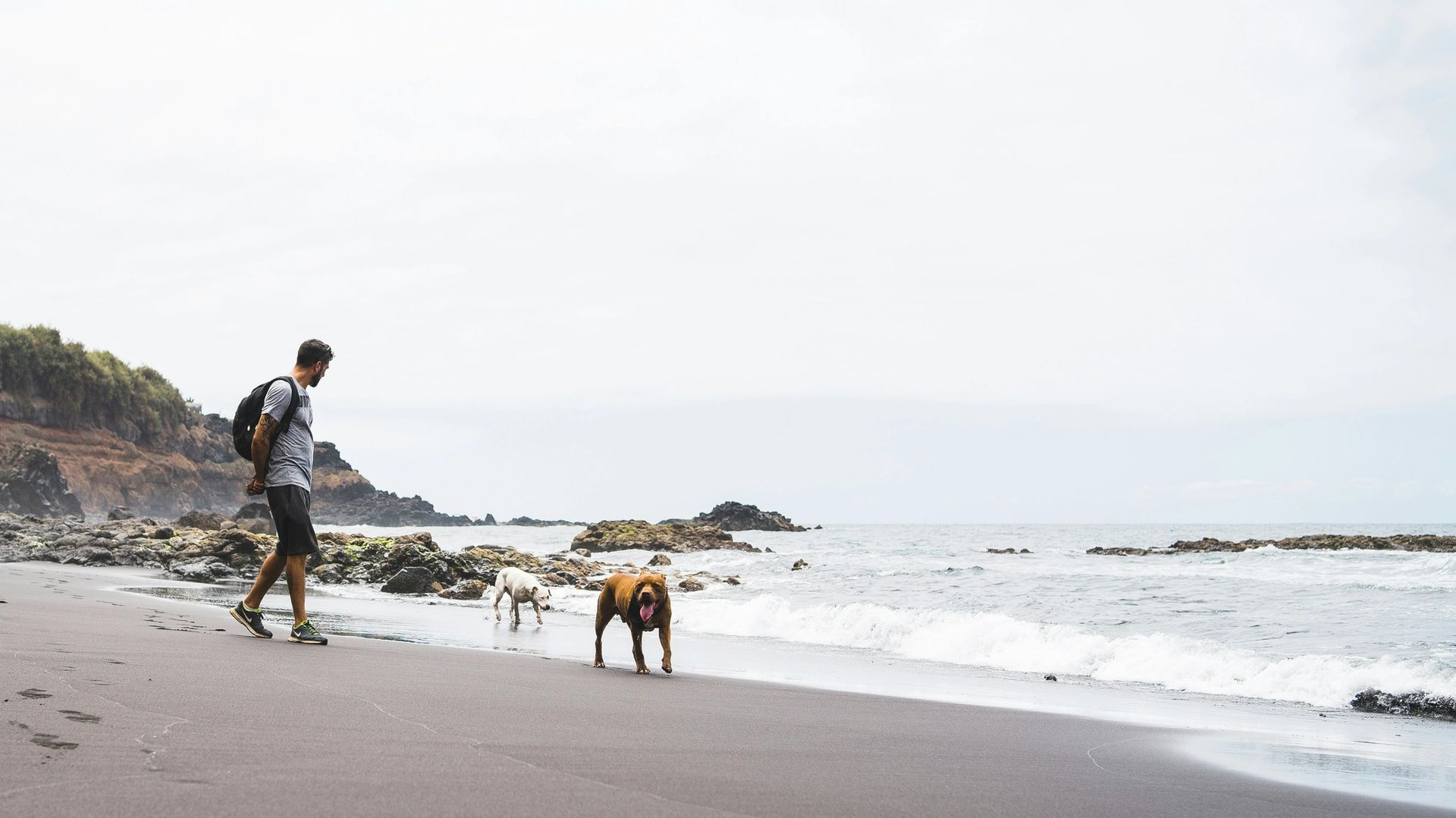 Homme promenant ses chiens sur le bord de mer en Espagne