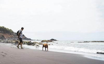 Homme promenant ses chiens sur le bord de mer en Espagne