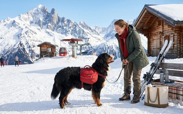 Chien et sa maîtresse en vacances d'hiver : ski, montagne et neige