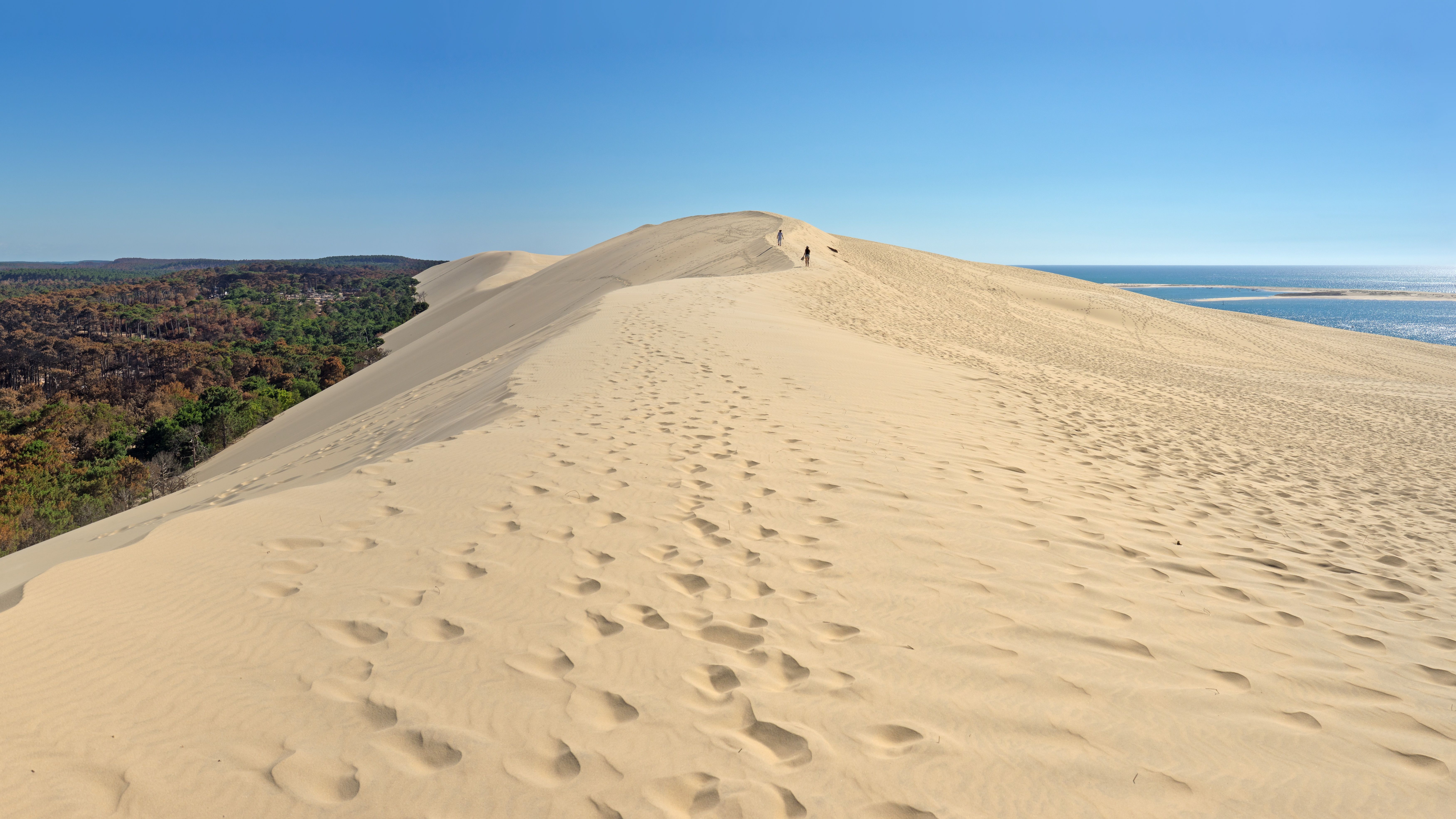Week-end avec son chien au Bassin d'Arcachon : Dune du Pilat, plages et villages ostréicoles 2026