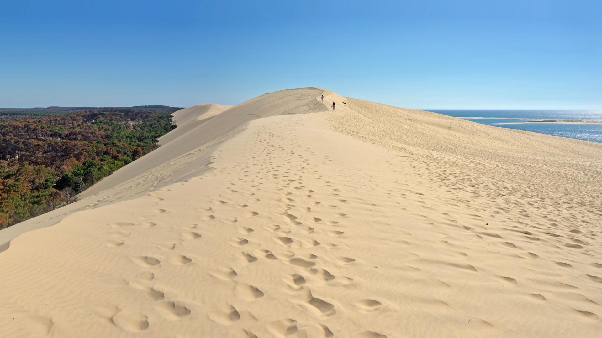 Deux promeneurs et leur chien en laisse gravissant la Dune du Pilat, avec le Bassin d'Arcachon et la forêt de pins en arrière-plan