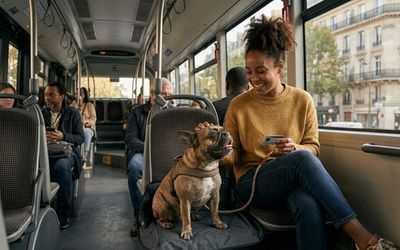 Chien en transports en commun : métro, bus, tram ville par ville