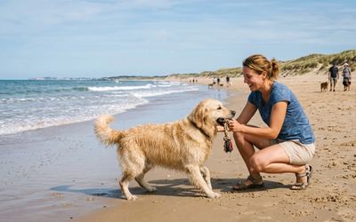 Chien et son maître sur une plage de Charente-Maritime