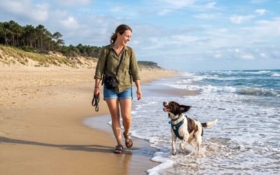 Chien et sa maîtresse sur la plage dans les Landes