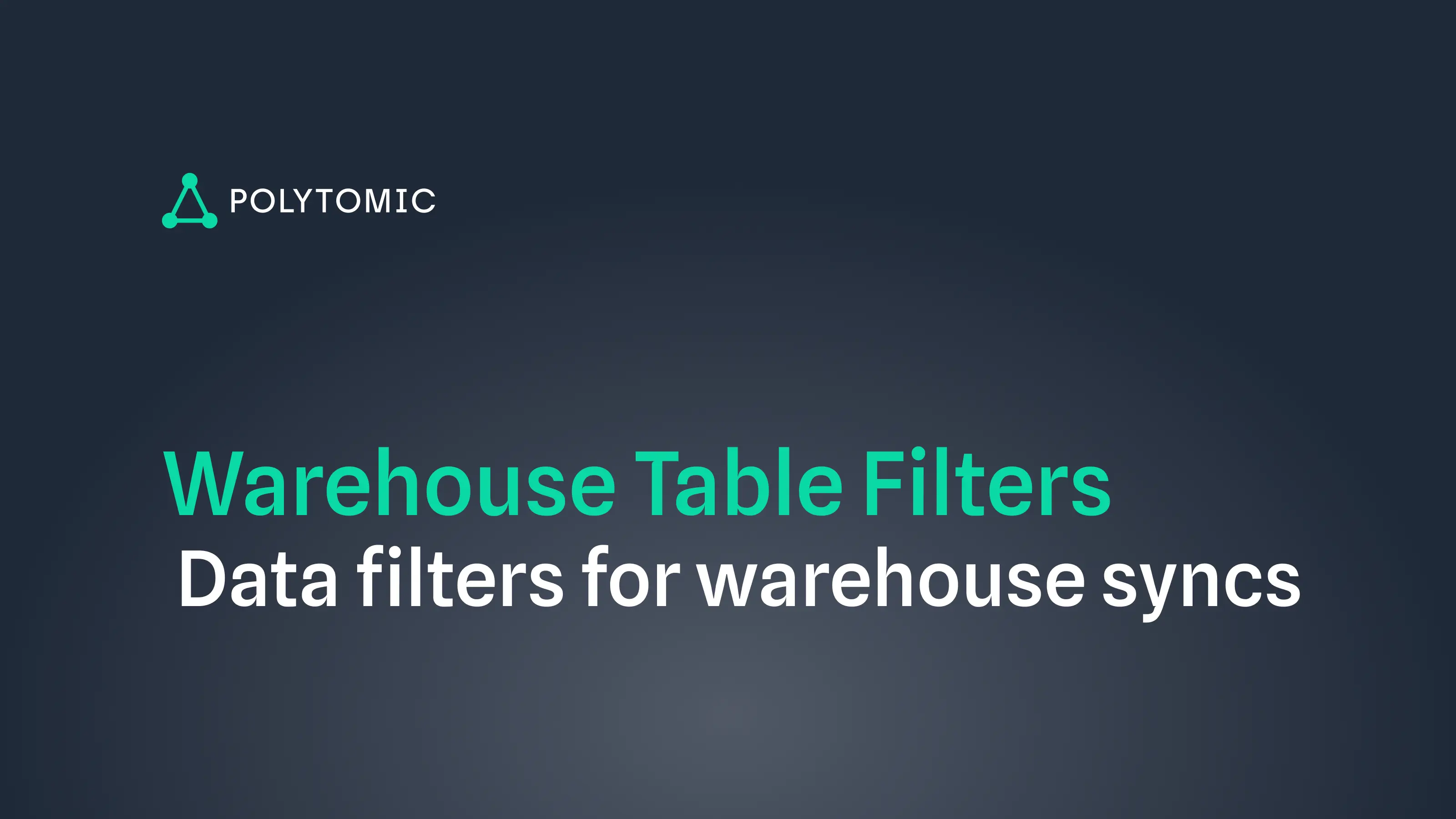 Announcing warehouse table filters